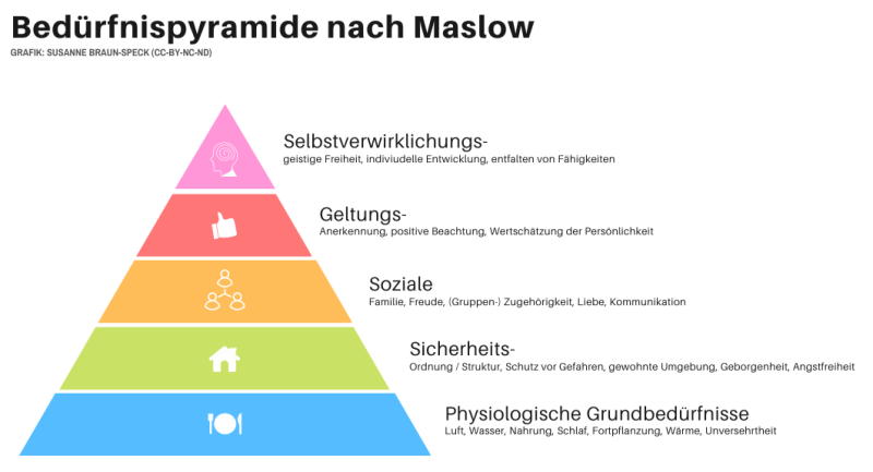 Beduerfnispyramide maslow Grafik sbraun speck