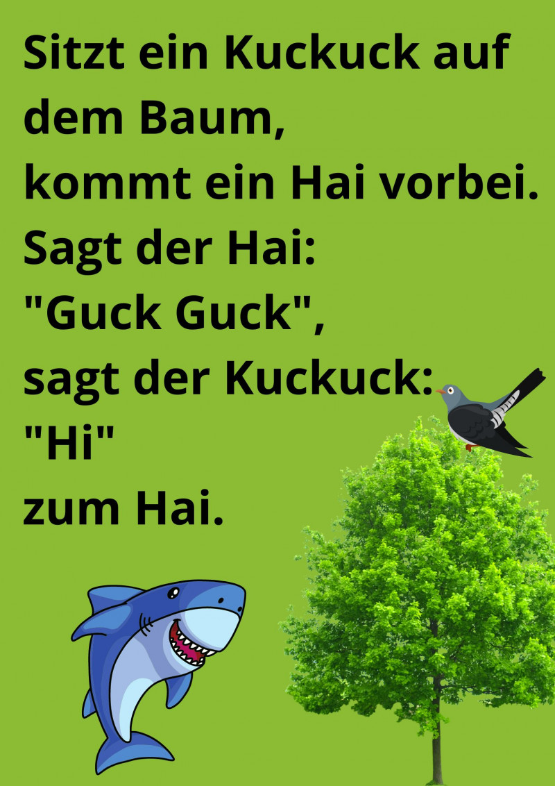 Hai Kuckuck korrigiert