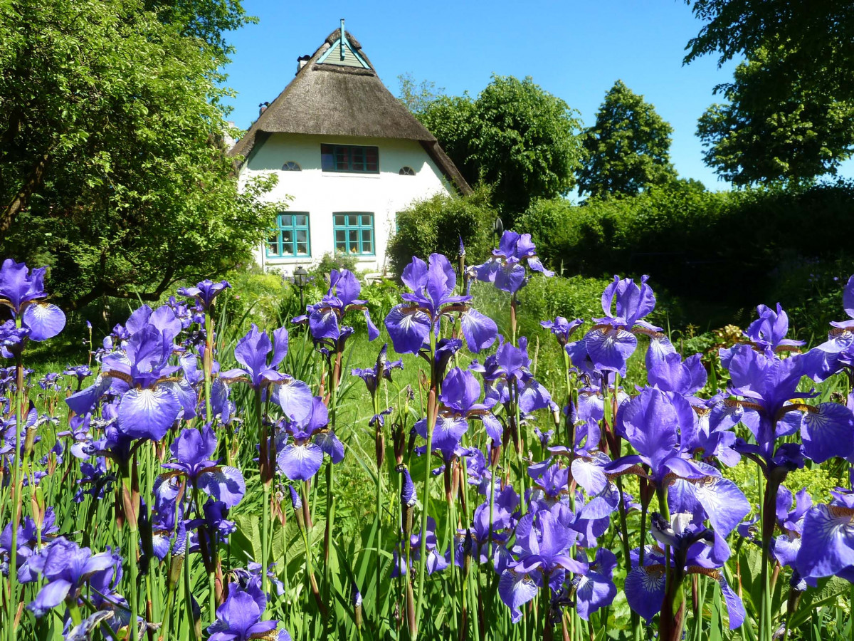 Alte SchuleOetjendorf Mai