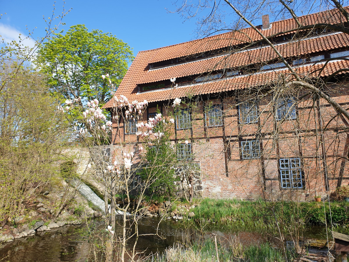 Drahtmuehle im April